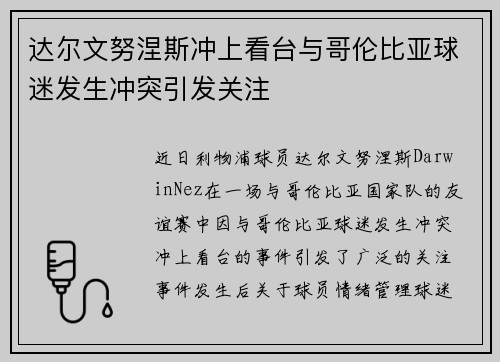 达尔文努涅斯冲上看台与哥伦比亚球迷发生冲突引发关注 达尔文努涅斯冲上看台与哥伦比亚球迷发生冲突引发关注